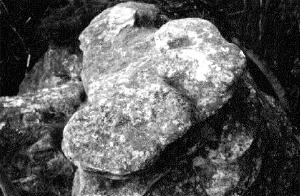Serpent Altar Discovered in1965 by Rex Gilroy 