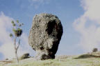 Stone Head Of King Tamo