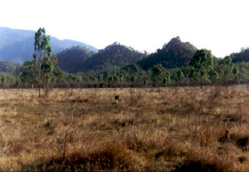 Pyramydal Hills