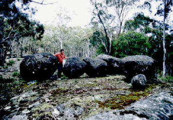 Rex Standing Near An Alignment Of Huge Granite Boulders 