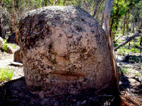 Stone Nim Head